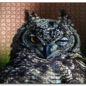 Cakapuzzle Komik Baykuş Mdf 255 Parça Puzzle