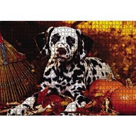Cakapuzzle Köpek Cadılar Bayramı 1000 Parça Puzzle