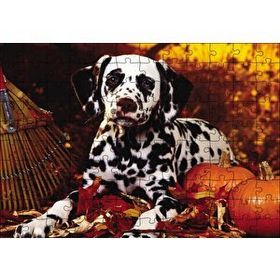Cakapuzzle Köpek Cadılar Bayramı 120 Parça Puzzle