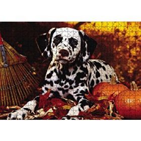 Cakapuzzle Köpek Cadılar Bayramı 500 Parça Puzzle