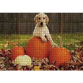 Cakapuzzle Köpek Kabaklar Ahşap 1000 Parça Puzzle