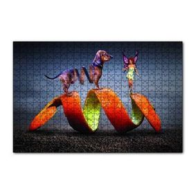 Cakapuzzle Köpek Sarmal Melek Kadın Fantastik 120 Parça Puzzle