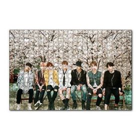 Cakapuzzle Kore Pop Grubu Bts 255 Parça Puzzle