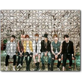 Cakapuzzle Kore Pop Grubu Bts 255 Parça Puzzle
