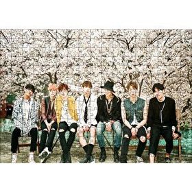 Cakapuzzle Kore Pop Grubu Bts 255 Parça Puzzle