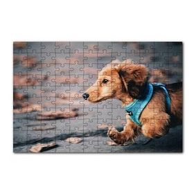 Cakapuzzle Koşan Sevimli Kahverengi Köpek 120 Parça Ahşap Puzzle