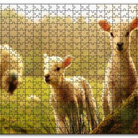 Cakapuzzle Koyun Kuzular Görseli Mdf 1000 Parça Puzzle