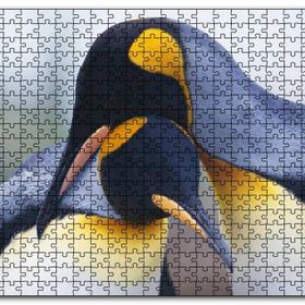 Cakapuzzle Kral Penguen Çifti Mdf 1000 Parça Puzzle