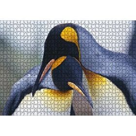 Cakapuzzle Kral Penguen Çifti Mdf 1000 Parça Puzzle