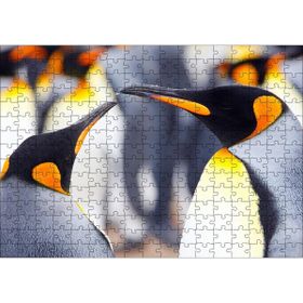Cakapuzzle Kral Penguenler 120 Parça Puzzle