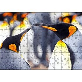 Cakapuzzle Kral Penguenler 120 Parça Puzzle