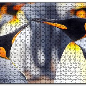 Cakapuzzle Kral Penguenler Mdf 1000 Parça Puzzle