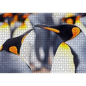 Cakapuzzle Kral Penguenler Mdf 1000 Parça Puzzle
