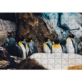 Cakapuzzle Kral Penguenleri Mdf 120 Parça Puzzle