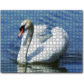 Cakapuzzle Kuğu Kuşu 500 Parça Puzzle