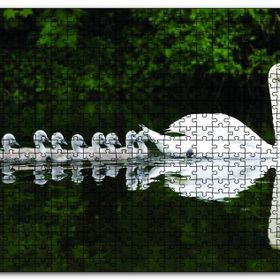 Cakapuzzle Kuğu ve Yavrular Mdf 120 Parça Puzzle