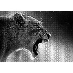 Cakapuzzle Kükreyen Aslan 1000 Parça Puzzle