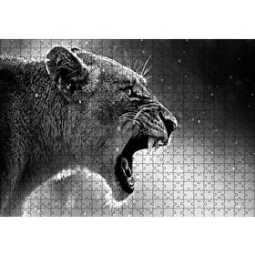 Cakapuzzle Kükreyen Aslan 500 Parça Puzzle