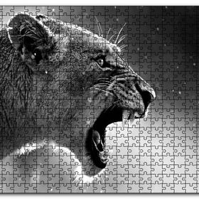 Cakapuzzle Kükreyen Aslan Ahşap 255 Parça Puzzle