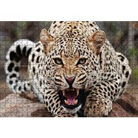 Cakapuzzle Kükreyen Jaguar Ahşap 500 Parça Puzzle
