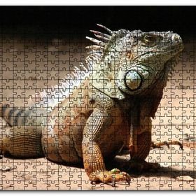Cakapuzzle Kumlar Üzerinde Görkemli İguana Mdf 120 Parça Puzzle