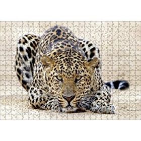 Cakapuzzle Kumların Üzerinde Pusudaki Leopar 120 Parça Ahşap Puzzle