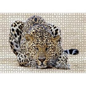 Cakapuzzle Kumların Üzerinde Pusudaki Leopar 120 Parça Ahşap Puzzle