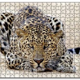 Cakapuzzle Kumların Üzerinde Pusudaki Leopar Mdf 120 Parça Puzzle