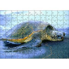 Cakapuzzle Kumsala Çıkan Caretta Caretta 120 Parça Ahşap Puzzle