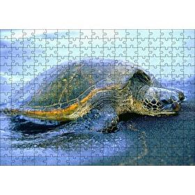 Cakapuzzle Kumsala Çıkan Caretta Caretta 120 Parça Ahşap Puzzle