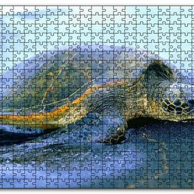 Cakapuzzle Kumsala Çıkan Caretta Caretta Mdf 500 Parça Puzzle