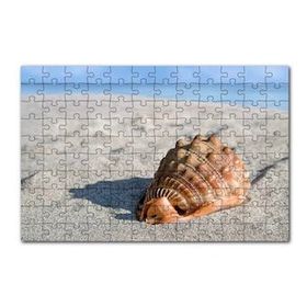 Cakapuzzle Kumsalda Dev Deniz Kabuğu 120 Parça Puzzle