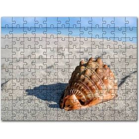 Cakapuzzle Kumsalda Dev Deniz Kabuğu 120 Parça Puzzle