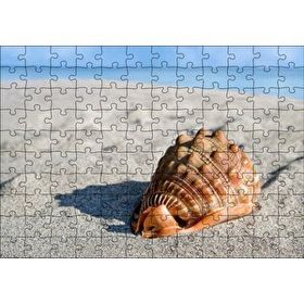 Cakapuzzle Kumsalda Dev Deniz Kabuğu 120 Parça Puzzle