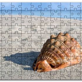 Cakapuzzle Kumsalda Dev Deniz Kabuğu Mdf 1000 Parça Puzzle