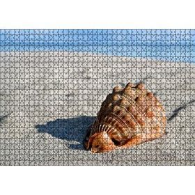 Cakapuzzle Kumsalda Dev Deniz Kabuğu Mdf 1000 Parça Puzzle