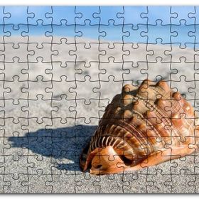 Cakapuzzle Kumsalda Dev Deniz Kabuğu Mdf 255 Parça Puzzle