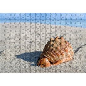 Cakapuzzle Kumsalda Dev Deniz Kabuğu Mdf 255 Parça Puzzle