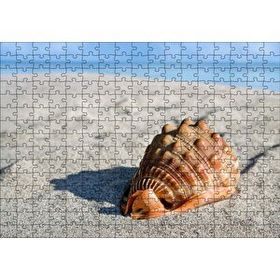 Cakapuzzle Kumsalda Dev Deniz Kabuğu Mdf 255 Parça Puzzle