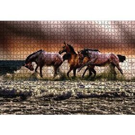 Cakapuzzle Kumsaldaki Atlar 120 Parça Ahşap Puzzle
