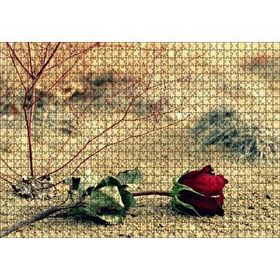 Cakapuzzle Kurak Toprak ve Solan Kırmızı Gül Mdf 1000 Parça Puzzle