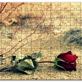 Cakapuzzle Kurak Toprak ve Solan Kırmızı Gül Mdf 500 Parça Puzzle