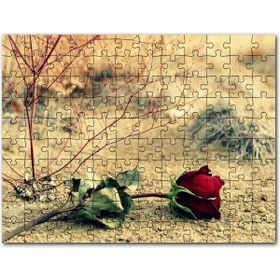 Cakapuzzle Kurak Toprak ve Solan Kırmızı Gül Mdf 500 Parça Puzzle