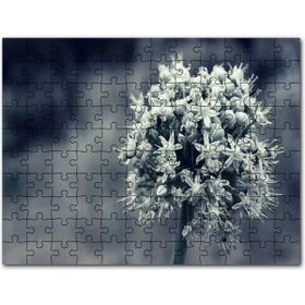 Cakapuzzle Küresel Isınma ve Çölleşme Vurgulu Dünya Haritası 500 Parça Puzzle