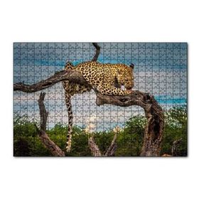 Cakapuzzle Kuru Dal Üzerinde Yalanan Leopar Görseli 255 Parça Puzzle
