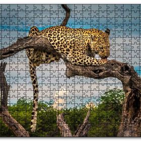 Cakapuzzle Kuru Dal Üzerinde Yalanan Leopar Görseli Mdf 120 Parça Puzzle