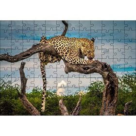 Cakapuzzle Kuru Dal Üzerinde Yalanan Leopar Görseli Mdf 120 Parça Puzzle