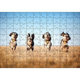 Cakapuzzle Kuru Otların Arasında Koşan 4 Sevimli Terrier Mdf 120 Parça Puzzle