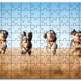 Cakapuzzle Kuru Otların Arasında Koşan 4 Sevimli Terrier Mdf 500 Parça Puzzle
