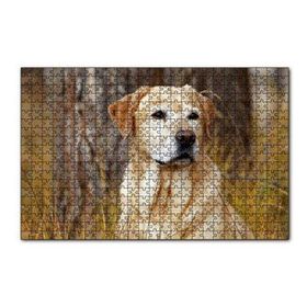 Cakapuzzle Kuru Otların Arasındaki Labrador 120 Parça Ahşap Puzzle